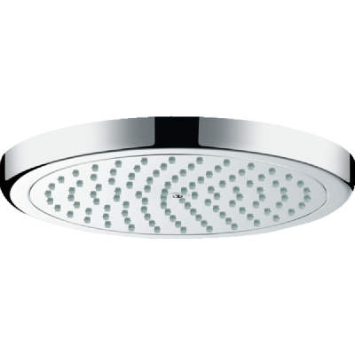 Потолочная душевая лейка Hansgrohe Croma 220 EcoSmart